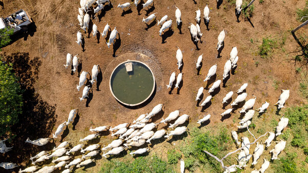 El Chaco paraguayo destaca por su potencial productivo y atrae inversores