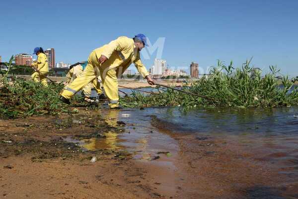 Diario HOY | Descubren causante de mortandad de peces en Asunción