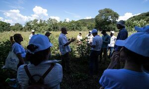 Continúan trabajos para mejorar áreas de recarga de acuífero en zona de Departamento Central