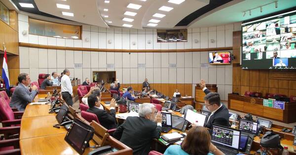 La Nación / Sancionan ley de subsidio a trabajadores independientes y comerciantes formales de frontera