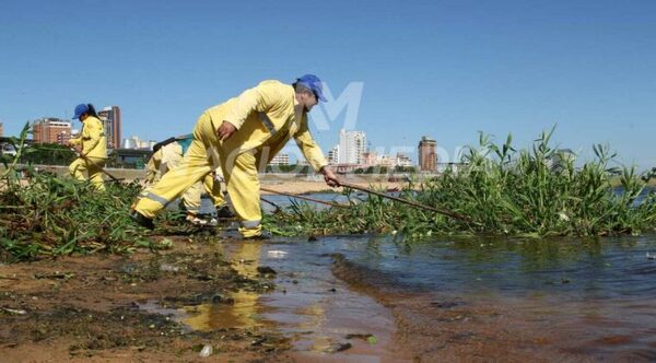 Descubren causante de mortandad de peces en Asunción