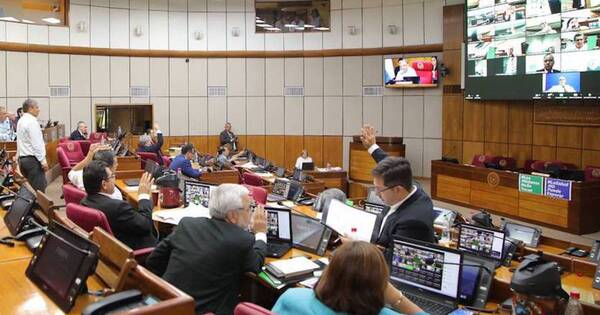 La Nación / Ley de subsidio a trabajadores independientes y comerciantes