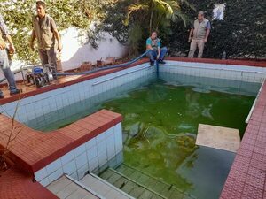 Terminó el verano y siguen las piscinas sucias y abandonadas en Asunción  - Nacionales - ABC Color