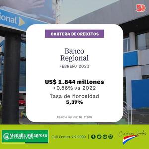 El Banco Regional tuvo una subida del 0% en sus créditos a febrero | Bancos | 5Días