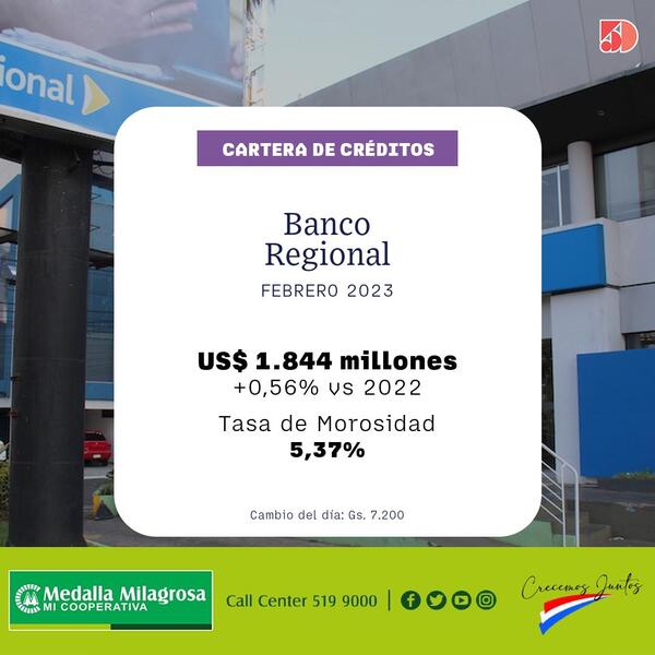 El Banco Regional tuvo una subida del 0% en sus créditos a febrero | Bancos | 5Días