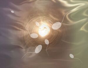 Demandan a donante de esperma vinculado con 550 hijos