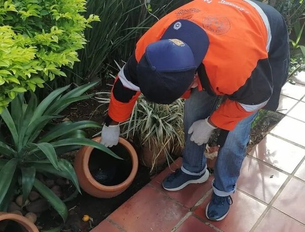 Chikunguña en Asunción y Central: los barrios que estarán visitando los seneperos - Nacionales - ABC Color