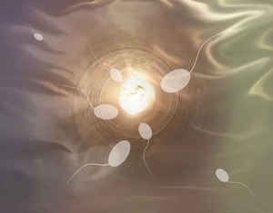 Demandan a donante de esperma vinculado con más de 550 hijos