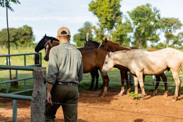 Chaco paraguayo destaca por su potencial productivo y atrae inversores