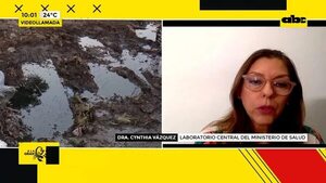 Video: chikunguña en Asunción y Central - ABC Noticias - ABC Color