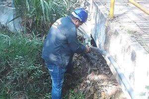 Denuncian robo de cables en parque Independencia de Franco