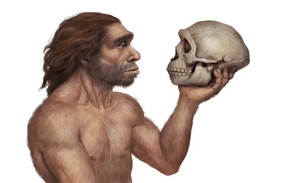 Cráneo de un neandertal de hace 150.000 años es reconstruido  - Ciencia - ABC Color