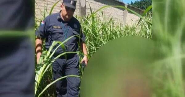La Nación / Encontraron el cuerpo sin vida de un hombre en baldío de Capiatá