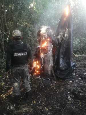 Destruyen 1.600 kilos de marihuana en la colonia Potrero Sur - Radio Imperio