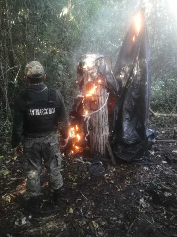 Destruyen 1.600 kilos de marihuana en la colonia Potrero Sur - Radio Imperio