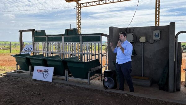 Prueba de consumo residual apunta a revolucionar la ganadería reduciendo costos hasta un 10%