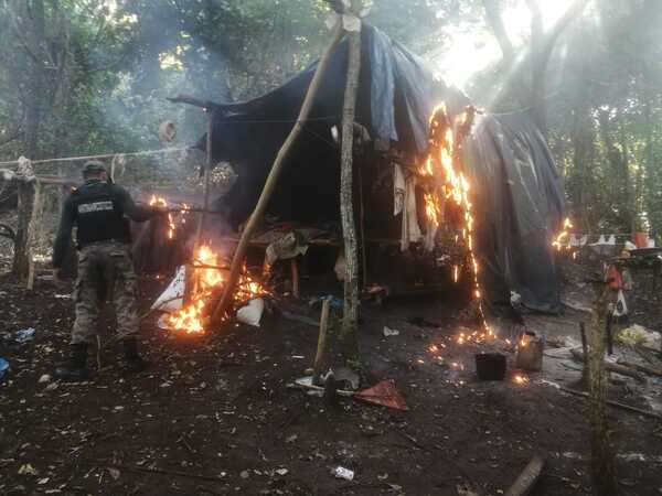Antinarcóticos sacan de circulación más de 1.500 kg de marihuana - Oasis FM 94.3