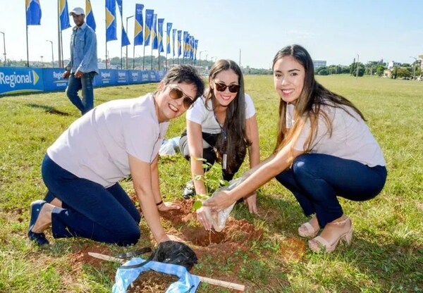 Plantan lapachos en la Costanera de Encarnación