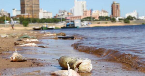 La Nación / Instan a evitar consumir pescados para evitar enfermedades ETA