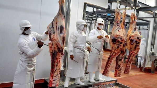 Para mediados de año se espera habilitación de carne