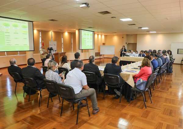 Evalúan estrategia para atender desafíos que enfrenta la cadena productiva de la yerba mate - .::Agencia IP::.