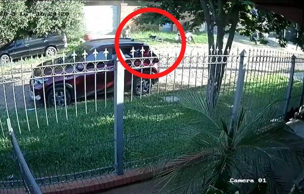 [VIDEO] Inseguridad en Barcequillo: hicieron "cuerpo a tierra" para no ligar balazos de motochorros