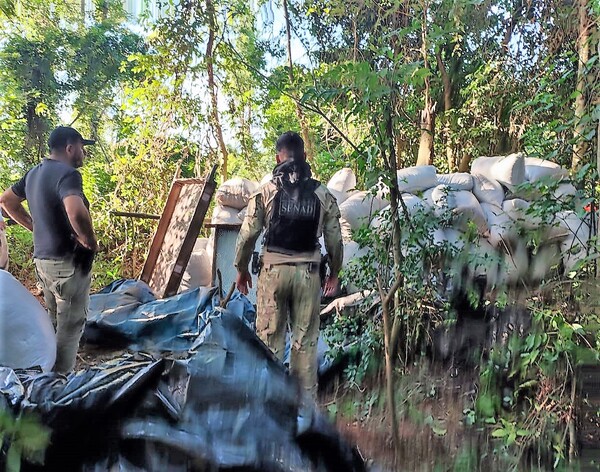 Fortín de la marihuana en San Pedro recibe “visita” de Senad, que destruye plantíos pero no reporta ningún detenido – La Mira Digital