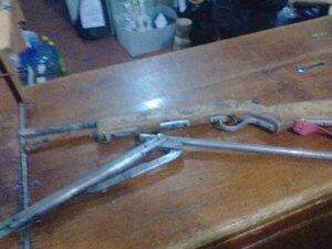 Profe mató a firulais de su vecina de un balazo: "hay muchos perros en la calle"