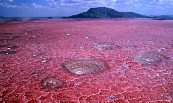 El Lago Natron de África | Telefuturo