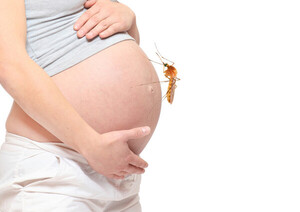 Bajar fiebre, lo urgente para madres con chikungunya | 1000 Noticias