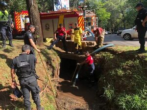 Buscan a yacaré que se escapó del Lago de la República de Ciudad del Este - ABC en el Este - ABC Color