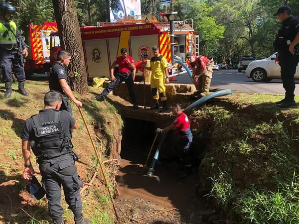 Buscan a yacaré que se escapó del Lago de la República de Ciudad del Este - ABC en el Este - ABC Color