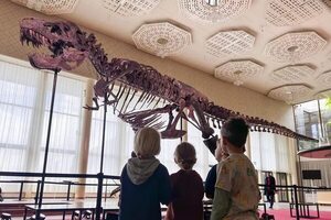 Esqueleto de un tiranosaurio exhibido en Zúrich antes de su subasta - Ciencia - ABC Color