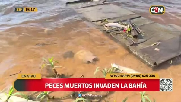 Peces muertos invaden la bahía de Asunción - C9N