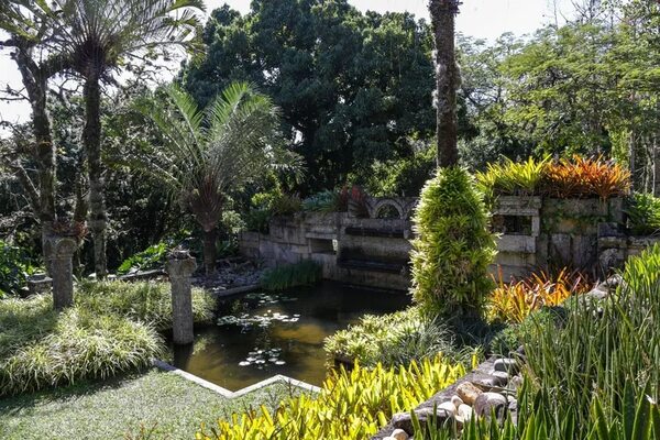 ¿De qué Estilo es tu Jardín? - Estilo de vida - ABC Color