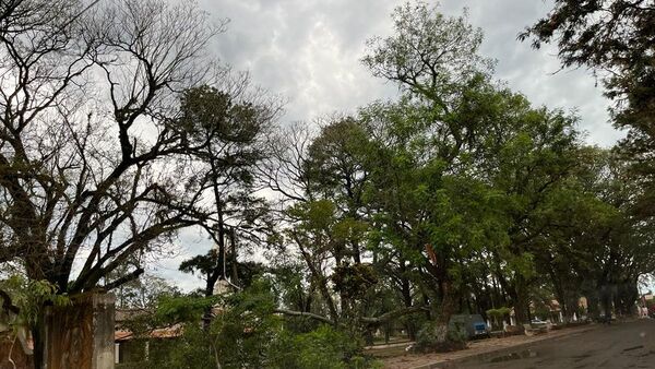 Jueves caluroso, con lluvias y tormentas eléctricas a nivel país