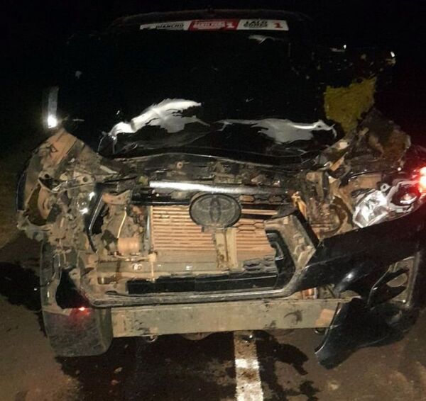 Animal suelto provoca accidente sobre la Ruta PY05 involucra al intendente de Bella Vista