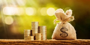 El Problema del Ganador: ¿Inversión o diversión? | Columnas | 5Días