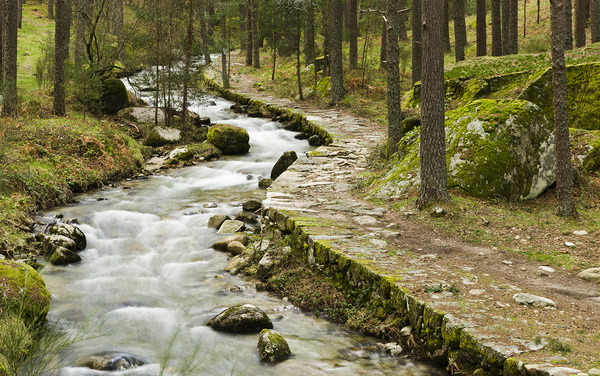 Guía de los parques naturales a pocos kilómetros de Madrid | Turismo | 5Días