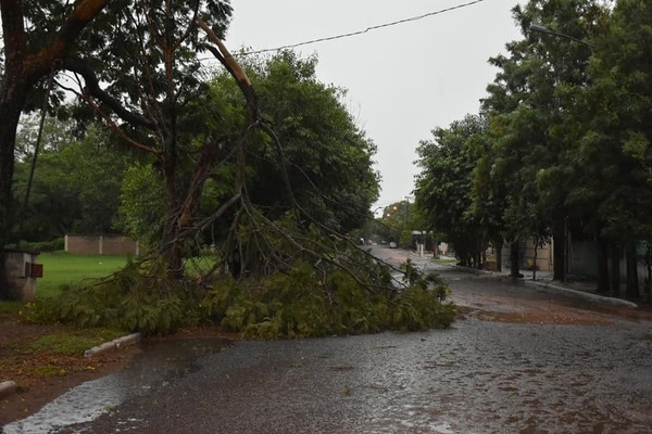 Temporal causa destrozos en Ayolas