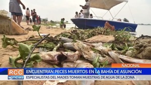Asunción: Toman muestras de agua de la zona donde encontraron peces muertos