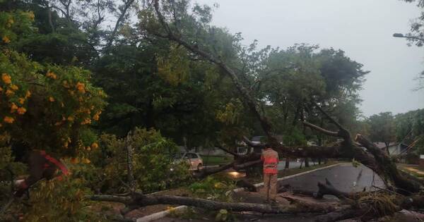 La Nación / Temporal deja viviendas destechadas y árboles caídos en Ayolas
