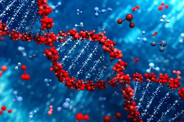 Avance científico: publican el mapa más completo del epigenoma humano - Ciencia - ABC Color