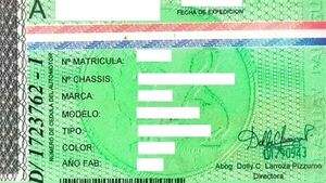 Perdió ayer su documento - San Lorenzo Hoy