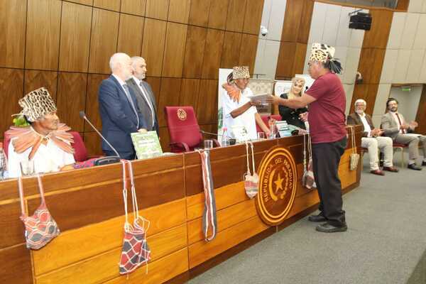 Investigadores de pueblos indígenas presentan diccionario cuatrilingüe: ayoreo – español – guaraní – portugués - Revista PLUS