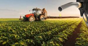 La Nación / Rediex resalta divisas por biocombustibles, pero mercado interno está insatisfecho