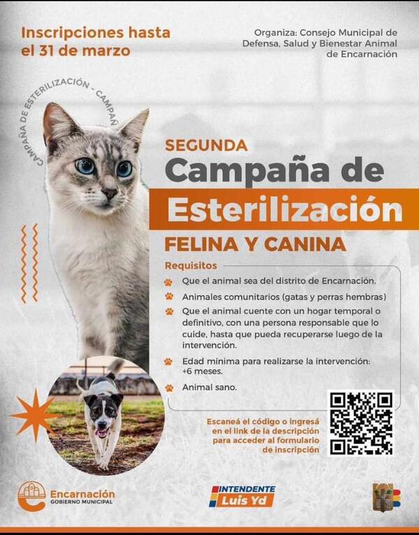 Segunda gran campaña de esterilización felina y canina en Encarnación