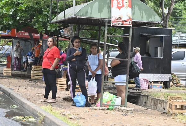 Senado convoca a ministros por regulada de buses y califican de ladrones de cuello blanco a transportistas - Política - ABC Color
