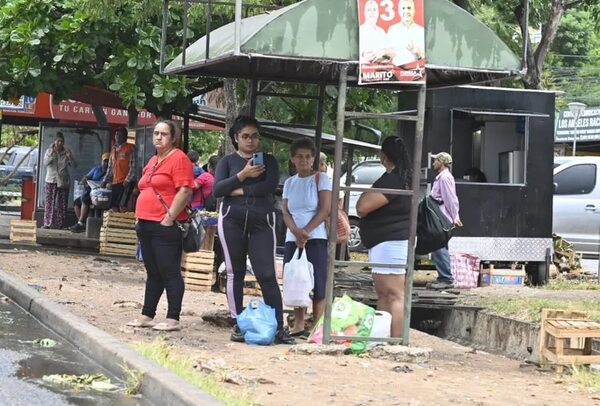 Senado convoca a ministros por regulada de buses y califican de ladrones de cuello blanco a transportistas  - Política - ABC Color