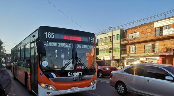 Presentan proyecto de transporte público gratuito el día de las elecciones